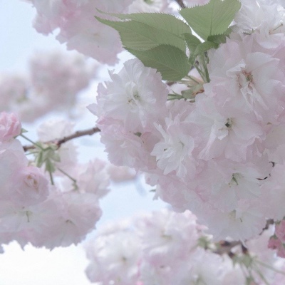 Furry绘画色彩搭配兽圈社群