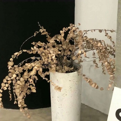 兽设零基础绘画实用教程兽圈社群